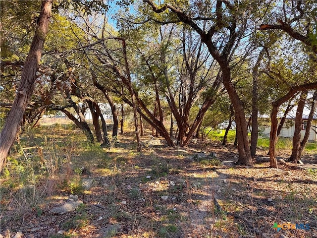 0TBD Westview Dr, Canyon Lake TX, 78133 land for sale