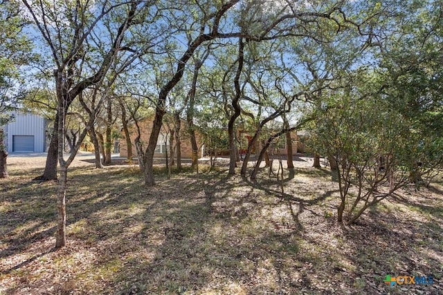 view of yard with a garage