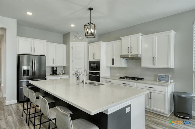 kitchen featuring under cabinet range hood, appliances with stainless steel finishes, a sink, and light wood-type flooring
