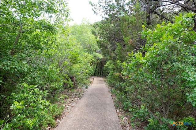 view of home's community featuring a wooded view