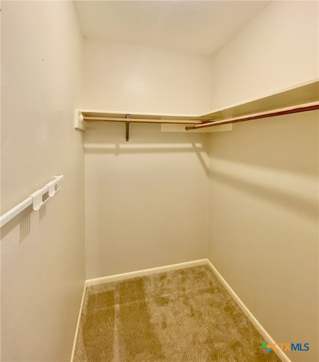 507 Santa Fe, Victoria, TX 77904 - spacious closet with carpet flooring