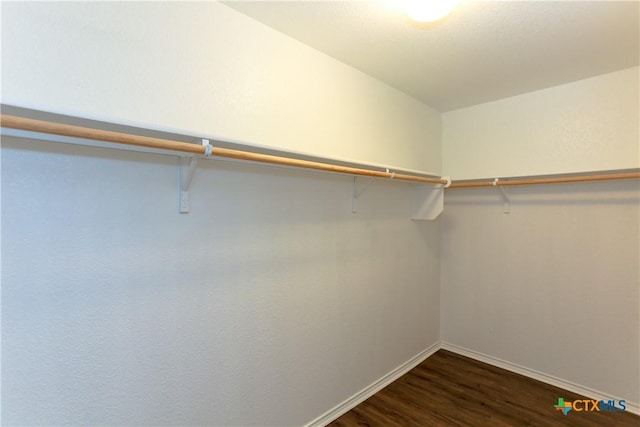 1321 Cozy Creek Dr, Temple, TX 76502 - spacious closet with dark wood-style floors