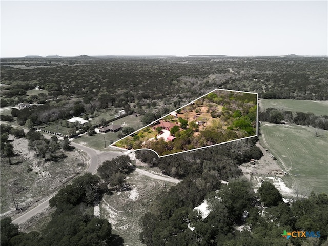 aerial view