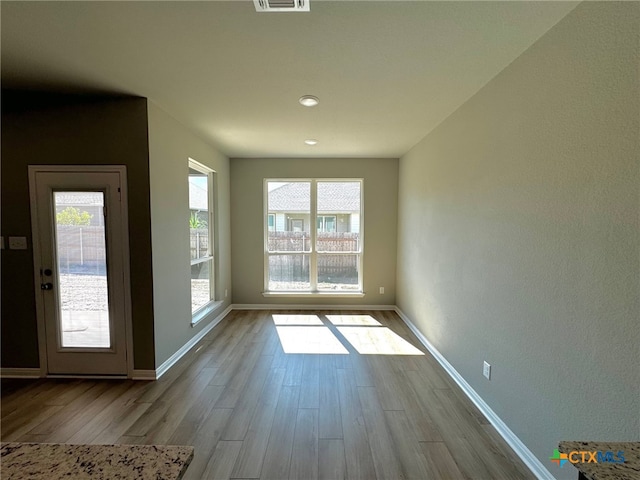 doorway featuring light hardwood / wood-style floors and a healthy amount of sunlight