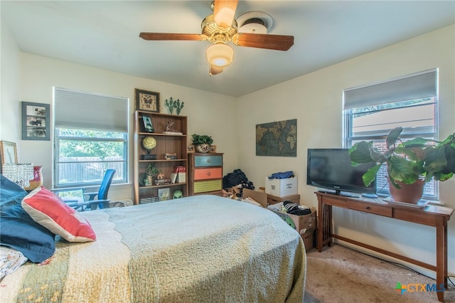 1105 E Robertson Ave, Copperas Cove, TX 76522 - bedroom featuring multiple windows, carpet flooring, and ceiling fan
