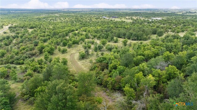 13554 Knob Hill Rd, Rogers, TX 76569 - photo 46