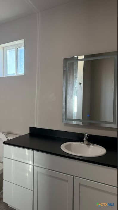 bathroom with vanity and toilet