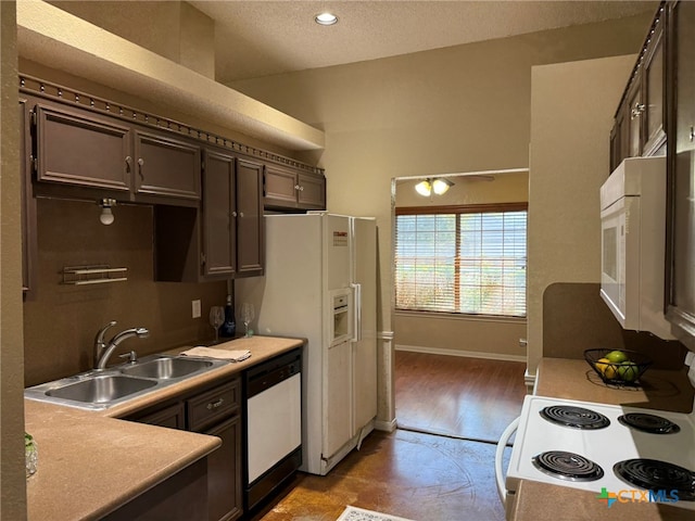 kitchen with light wood-type flooring, white appliances, sink, and dark brown cabinetry