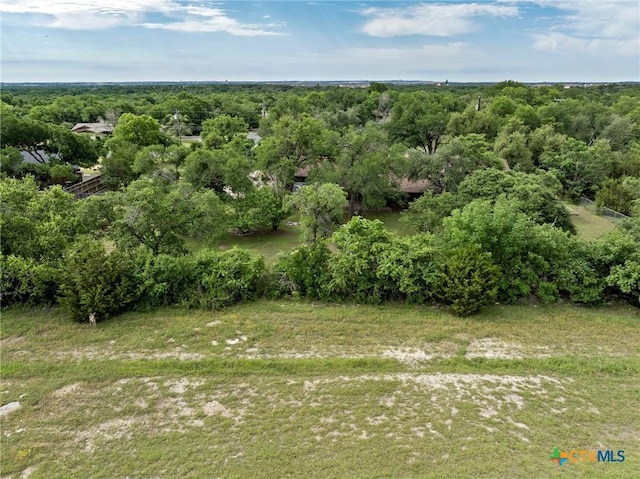 300 Sequoia Spur, Georgetown, TX 78628 - photo 32