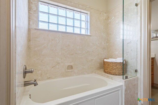 bathroom featuring a washtub