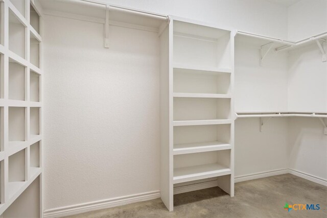 view of spacious closet