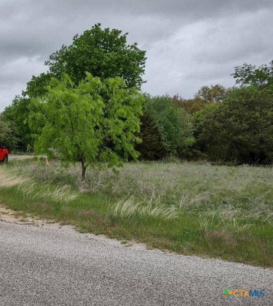 6027 Wildwood Dr, Whitney, TX 76692 - photo 1