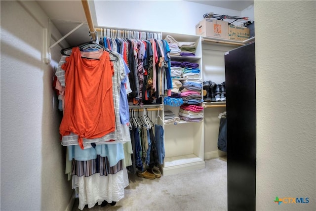 walk in closet with carpet flooring