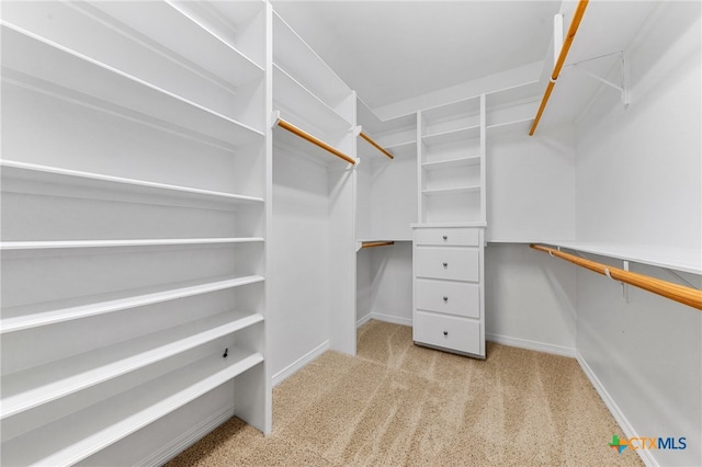 walk in closet with light colored carpet