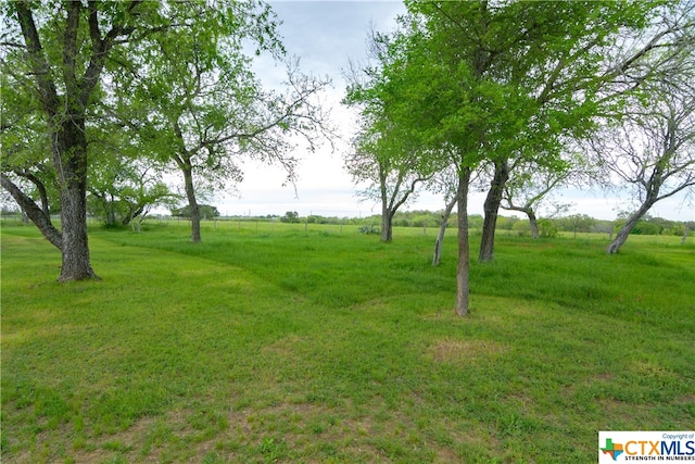 view of yard featuring a rural view