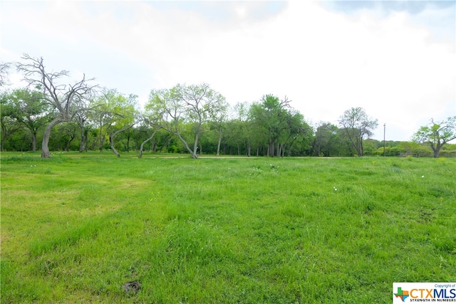 view of yard with a rural view