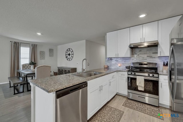 kitchen with a sink, appliances with stainless steel finishes, a peninsula, under cabinet range hood, and decorative backsplash
