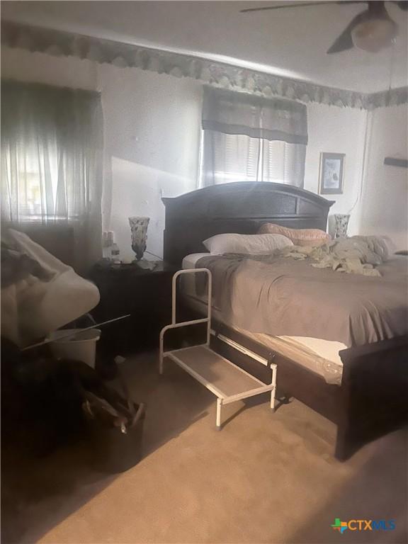 307 N 8th St, Lometa, TX 76853 - photo 18