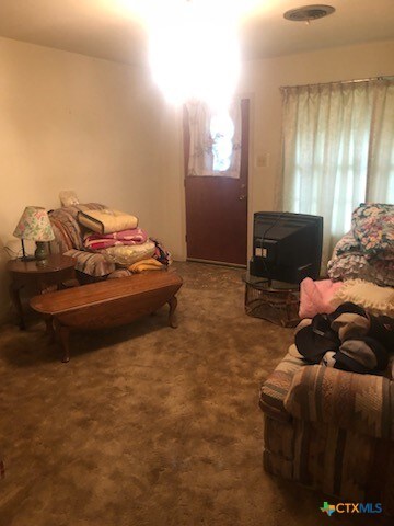 living room featuring carpet