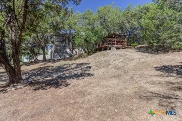162 Canyon Crk, Canyon Lake, TX 78133 - view of yard