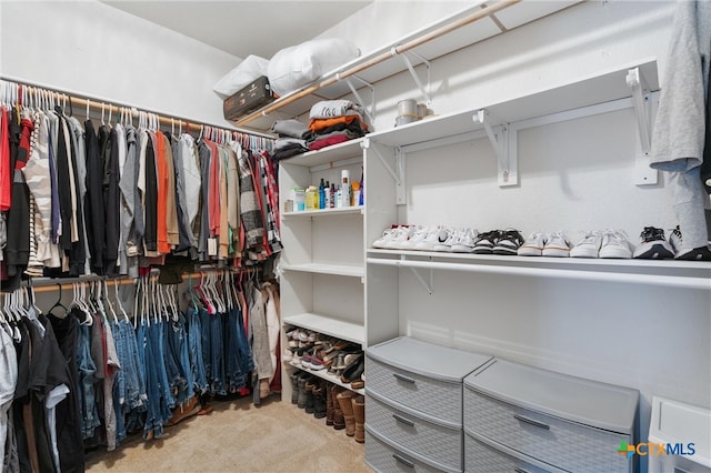 walk in closet featuring carpet floors