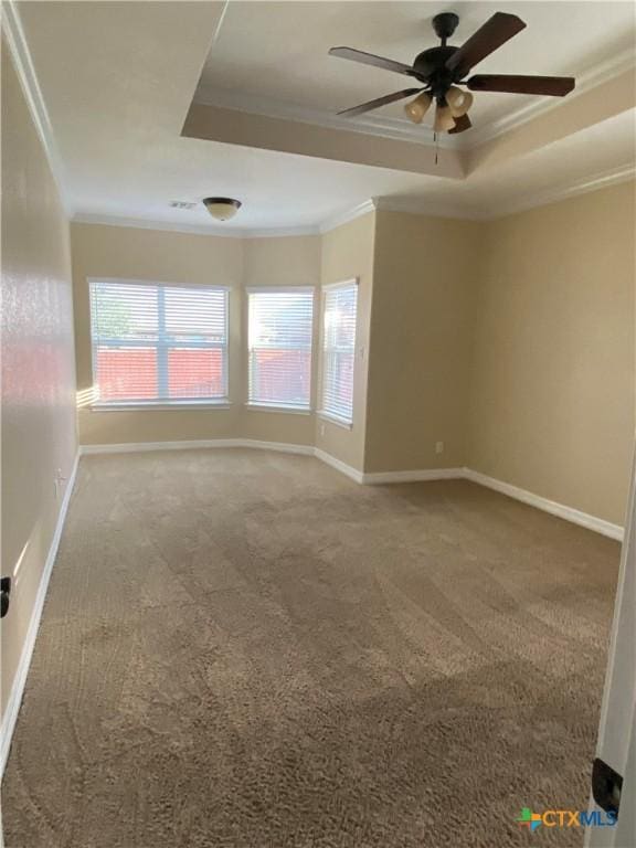 carpeted spare room with ceiling fan, a raised ceiling, and ornamental molding