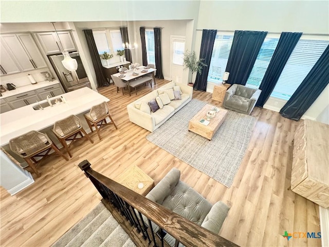 living room featuring light wood-style floors