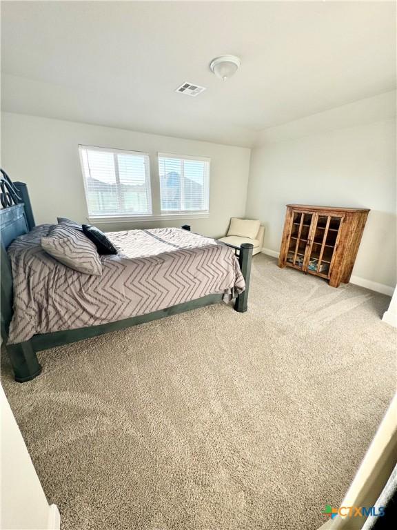 bedroom featuring carpet, visible vents, and baseboards