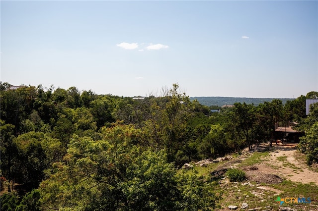 view of local wilderness