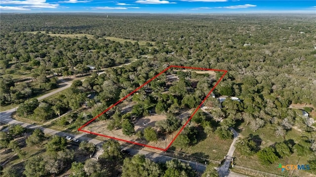 1843 Burr Oak Ln, Adkins, TX 78101 - view of property location featuring a forest and property boundaries highlighted