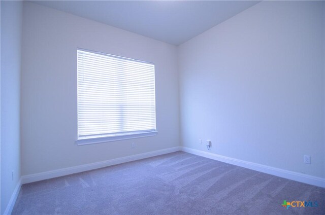 spare room with baseboards and carpet floors