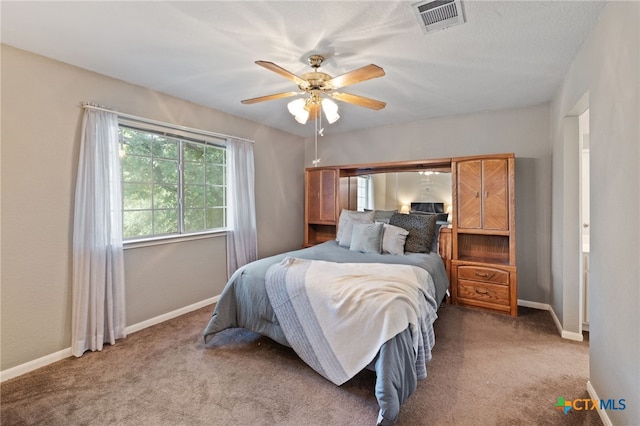 6804 Robert Dixon Dr, Austin, TX 78749 - bedroom with light carpet, baseboards, and a ceiling fan