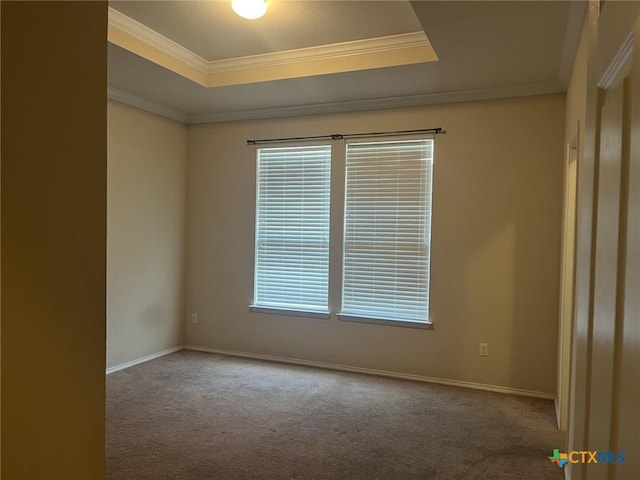 9210 Devonshire Ct, Killeen, TX 76542 - unfurnished room with a raised ceiling, carpet floors, healthy amount of natural light, ornamental molding, and baseboards