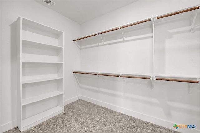 spacious closet with light carpet