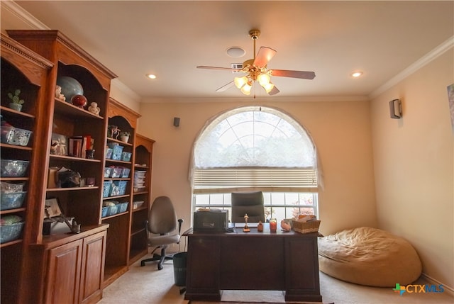 carpeted office featuring ceiling fan and ornamental molding