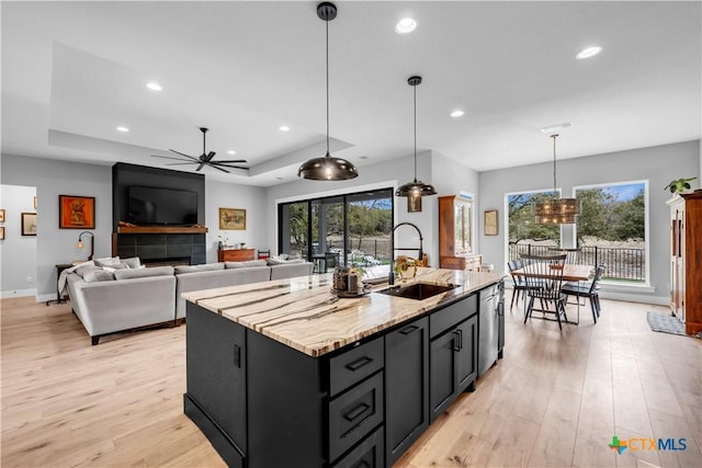 123 Wandering Oak Cir, Burnet, TX 78611 - kitchen featuring a sink, stainless steel dishwasher, light wood-type flooring, recessed lighting, and a ceiling fan