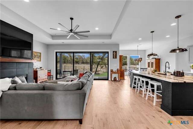 123 Wandering Oak Cir, Burnet, TX 78611 - living area featuring a raised ceiling, plenty of natural light, light wood-style floors, and recessed lighting