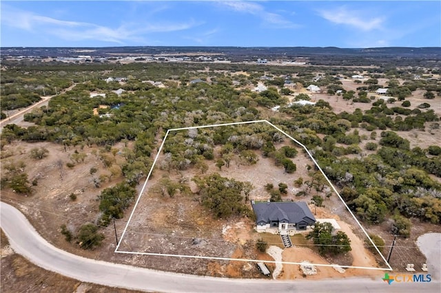 123 Wandering Oak Cir, Burnet, TX 78611 - aerial view of property's location featuring property parcel outlined