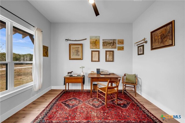 123 Wandering Oak Cir, Burnet, TX 78611 - office area featuring wood finished floors, a ceiling fan, and baseboards