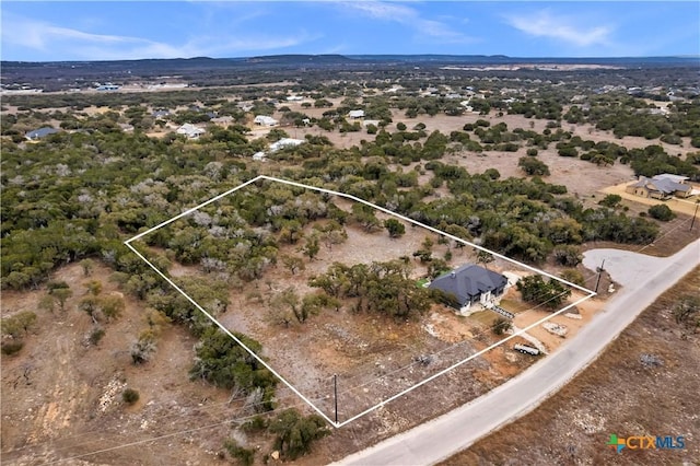 123 Wandering Oak Cir, Burnet, TX 78611 - overview of rural landscape with property boundaries highlighted and a desert landscape