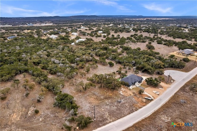 123 Wandering Oak Cir, Burnet, TX 78611 - view of property location with rural landscape and a desert landscape