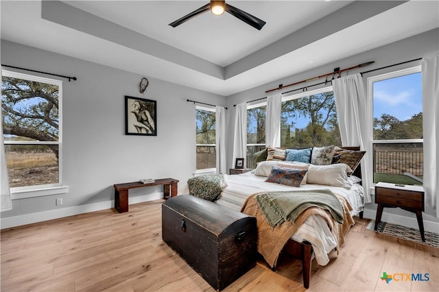 123 Wandering Oak Cir, Burnet, TX 78611 - bedroom with multiple windows, a raised ceiling, light wood-style floors, and baseboards