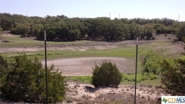 LOT12/13 Byrd Ranch Rd, Johnson City, TX 78636 - photo 26