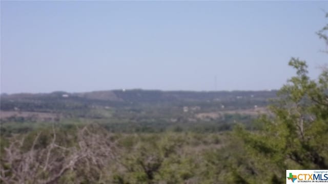LOT12/13 Byrd Ranch Rd, Johnson City, TX 78636 - photo 13