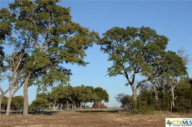LOT12/13 Byrd Ranch Rd, Johnson City, TX 78636 - photo 18
