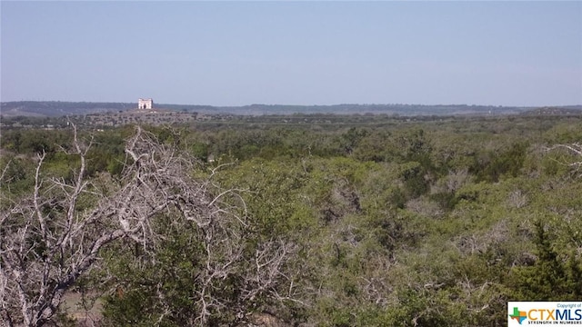 LOT12/13 Byrd Ranch Rd, Johnson City, TX 78636 - photo 14