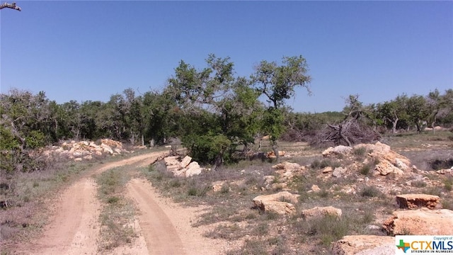 LOT12/13 Byrd Ranch Rd, Johnson City, TX 78636 - photo 6