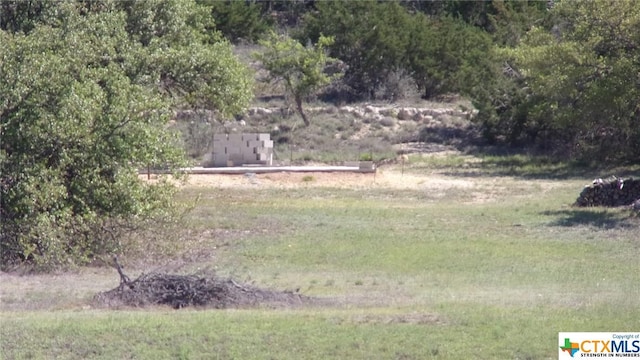 LOT12/13 Byrd Ranch Rd, Johnson City, TX 78636 - photo 23