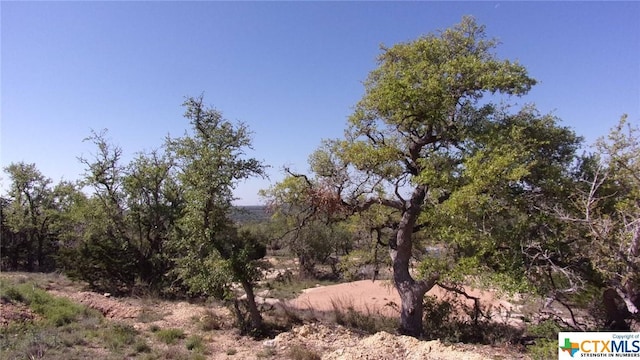 LOT12/13 Byrd Ranch Rd, Johnson City, TX 78636 - photo 8
