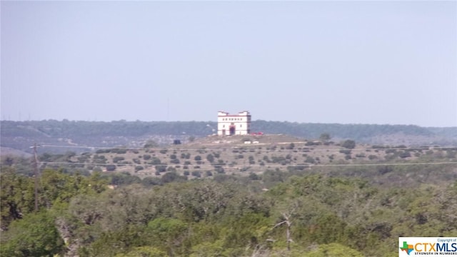 LOT12/13 Byrd Ranch Rd, Johnson City, TX 78636 - photo 11